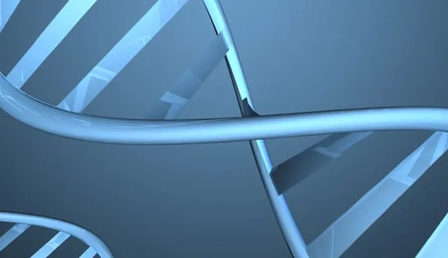 ISO 10993 生物相容性法規概述含17&18  