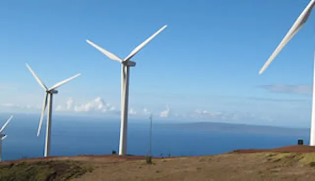 Wind turbine type certification