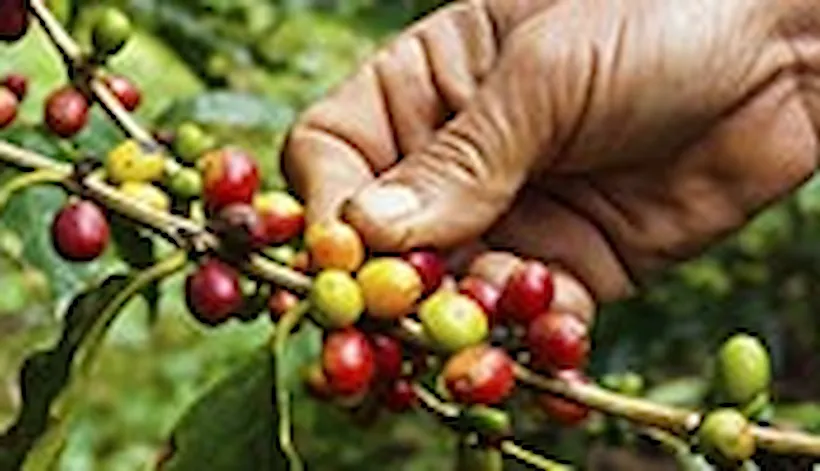 ISO 14064-2 專案型溫室氣體報告確查證