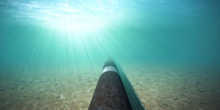 Sesam Pipeline Fatfree software