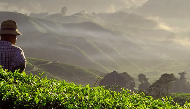 Sustainable sourcing