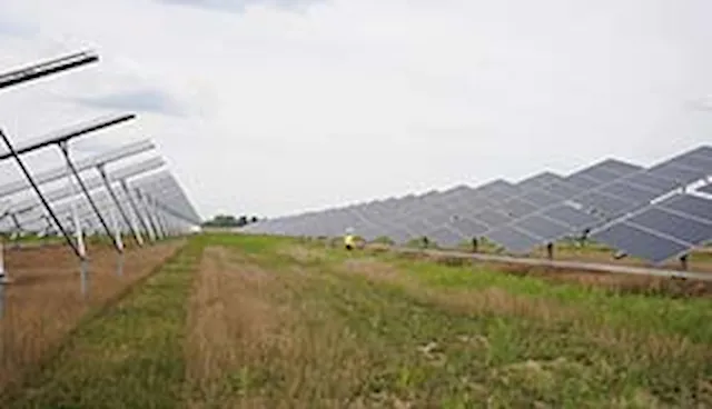 Synergi Electric - Publishing