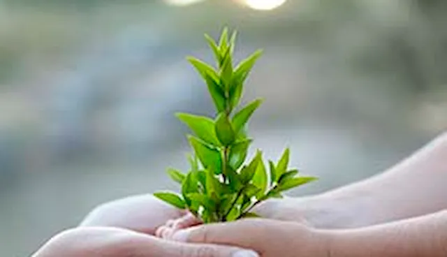 Synergi Life - 质量环境健康安全(QHSE/EHS)和企业风险管理软件