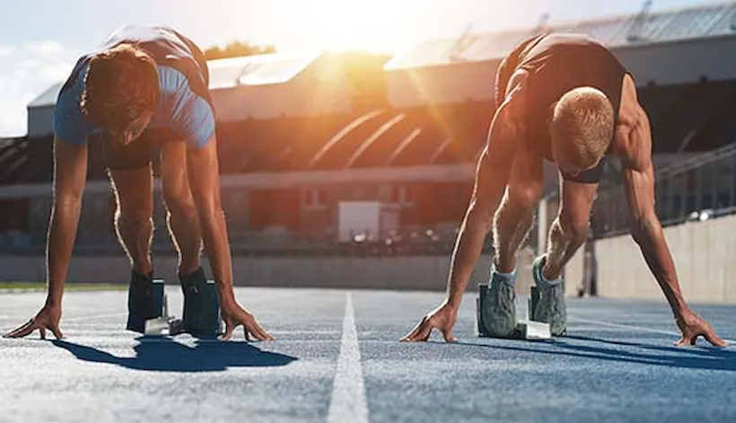 Kunskap kompakt och online