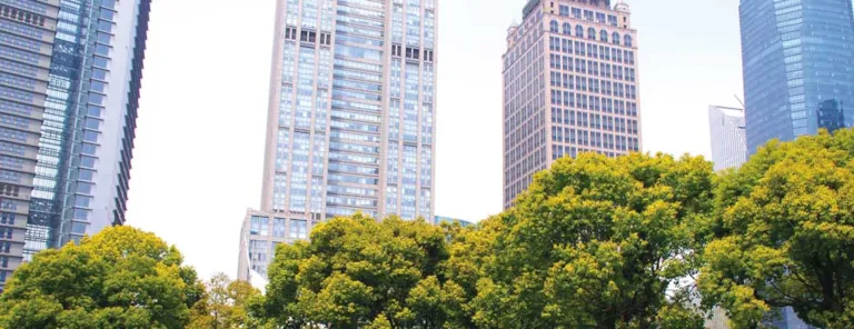 UNGC 20th Anniversary Report