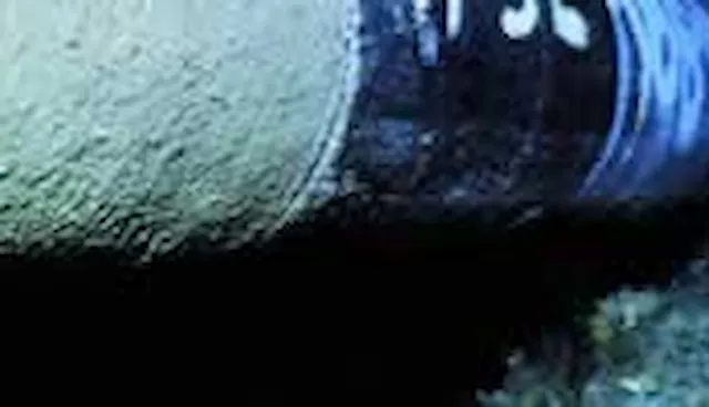 Verification of submarine pipelines