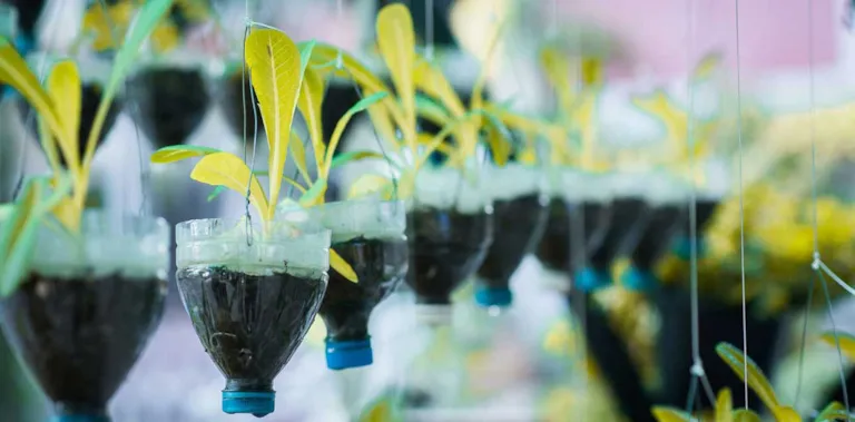 Recycle water bottle pot