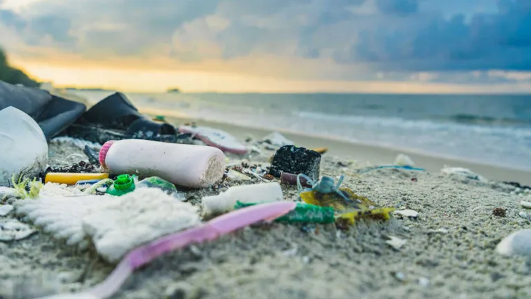 garbage on the beach
