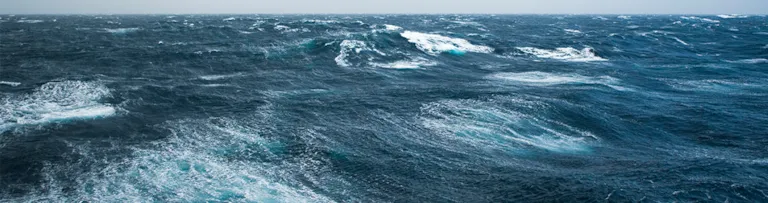 Wave and tidal project management