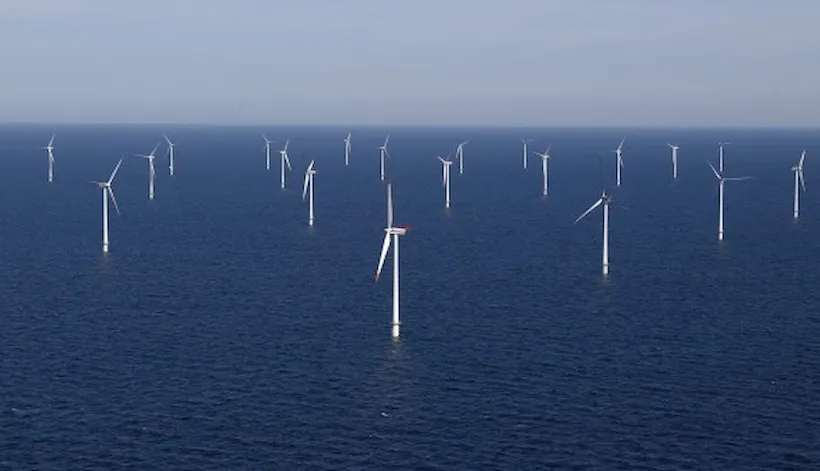 Project certification