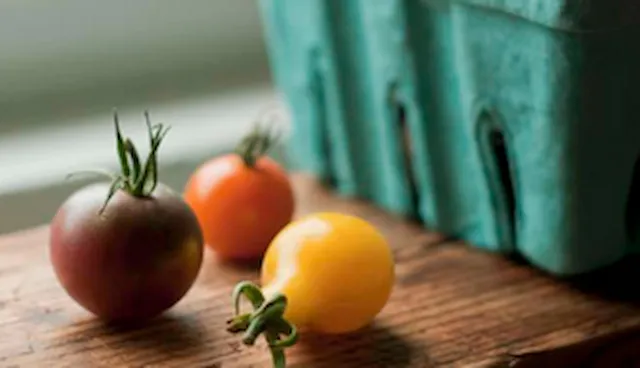 Global Standard Gluten-Free Certification Program Issue 3: Industry Training