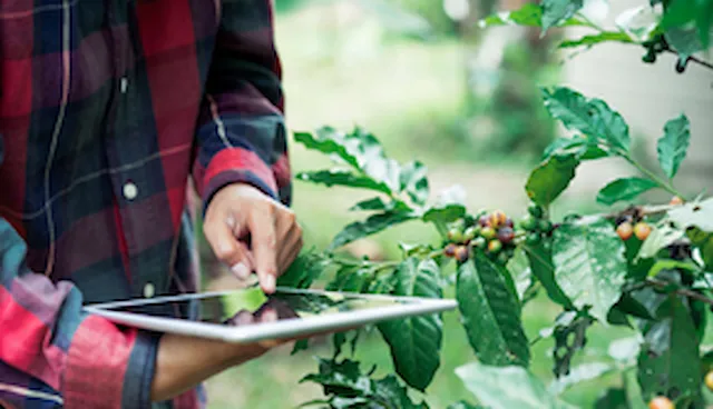 Hazard Analysis and Critical Control Points (HACCP)	