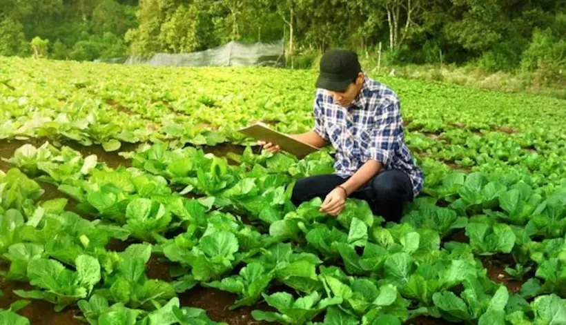 La confianza pasa de las marcas a los productos