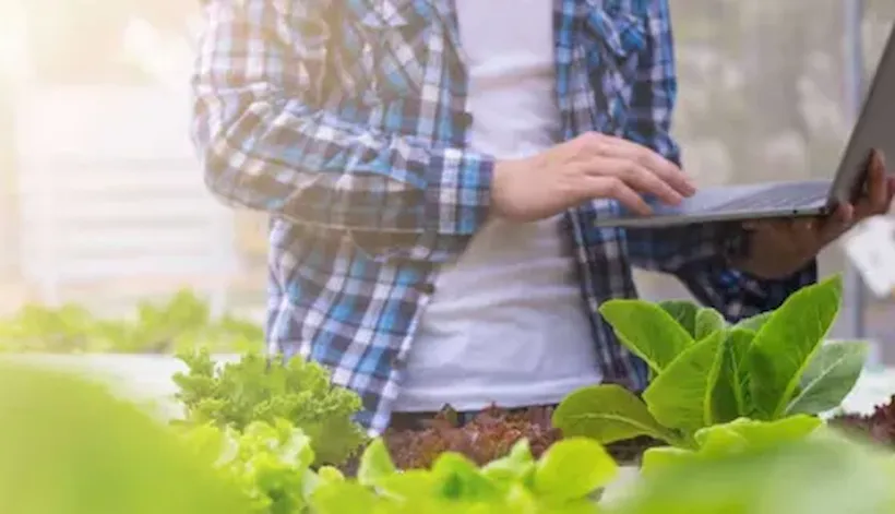 Seguridad de la información y ciberseguridad