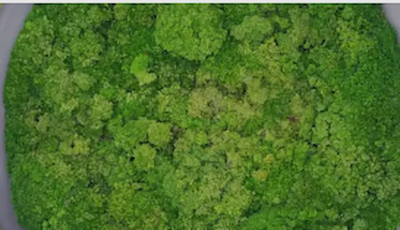 On-demand webinar: Are your circular economy business models geared for success?