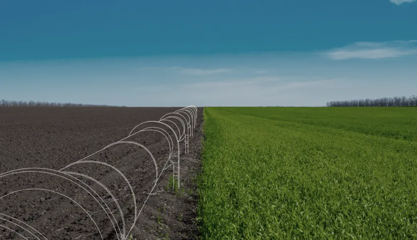 Software for fixed offshore wind