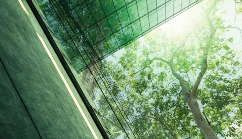 企业是否致力于可持续发展？