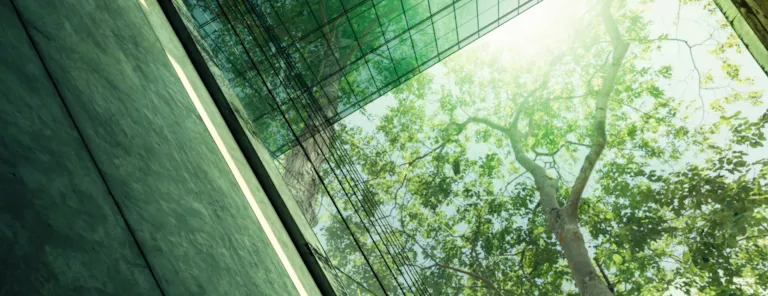 Eco-friendly building in modern city